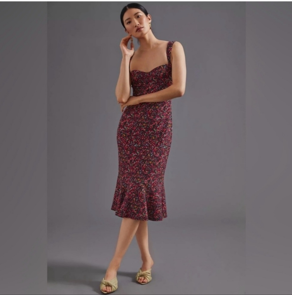 Anthropologie Hutch Floral Midi Dress Balconette Bust Size Extra Small - Picture 3 of 11
